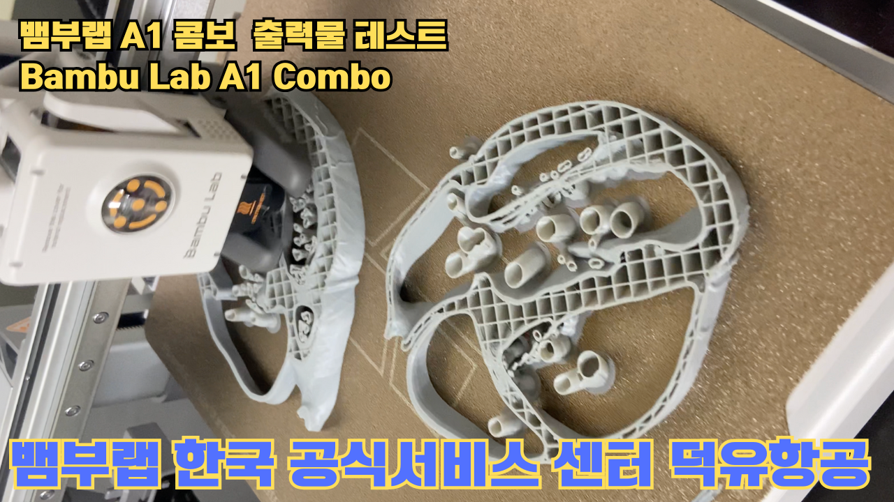 뱀부랩 A1 콤보 출력물 테스트 심장모형 #뱀부랩 #A1 #A1콤보 #A1combo #Bambulab #테스트출력물 #뱀부랩한국공식서비스센터덕유항공