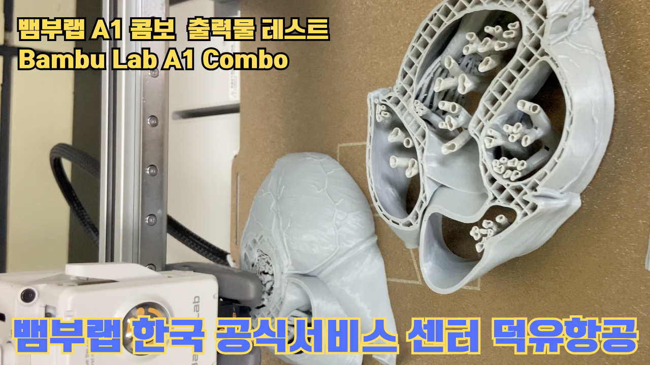 뱀부랩 A1 콤보 출력물 테스트 심장모형 #뱀부랩 #A1 #A1콤보 #A1combo #Bambulab #테스트출력물 #뱀부랩한국공식서비스센터덕유항공