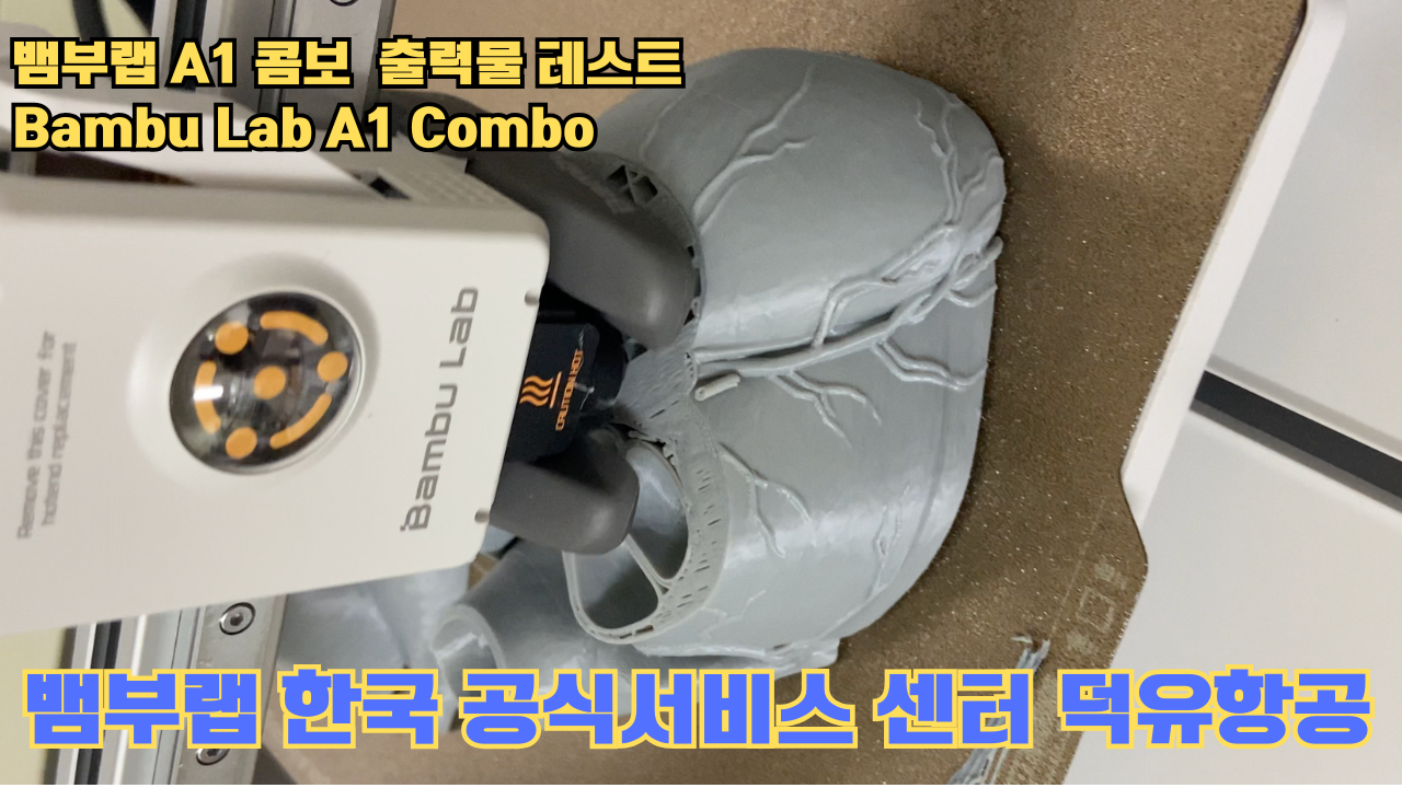뱀부랩 A1 콤보 출력물 테스트 심장모형 #뱀부랩 #A1 #A1콤보 #A1combo #Bambulab #테스트출력물 #뱀부랩한국공식서비스센터덕유항공