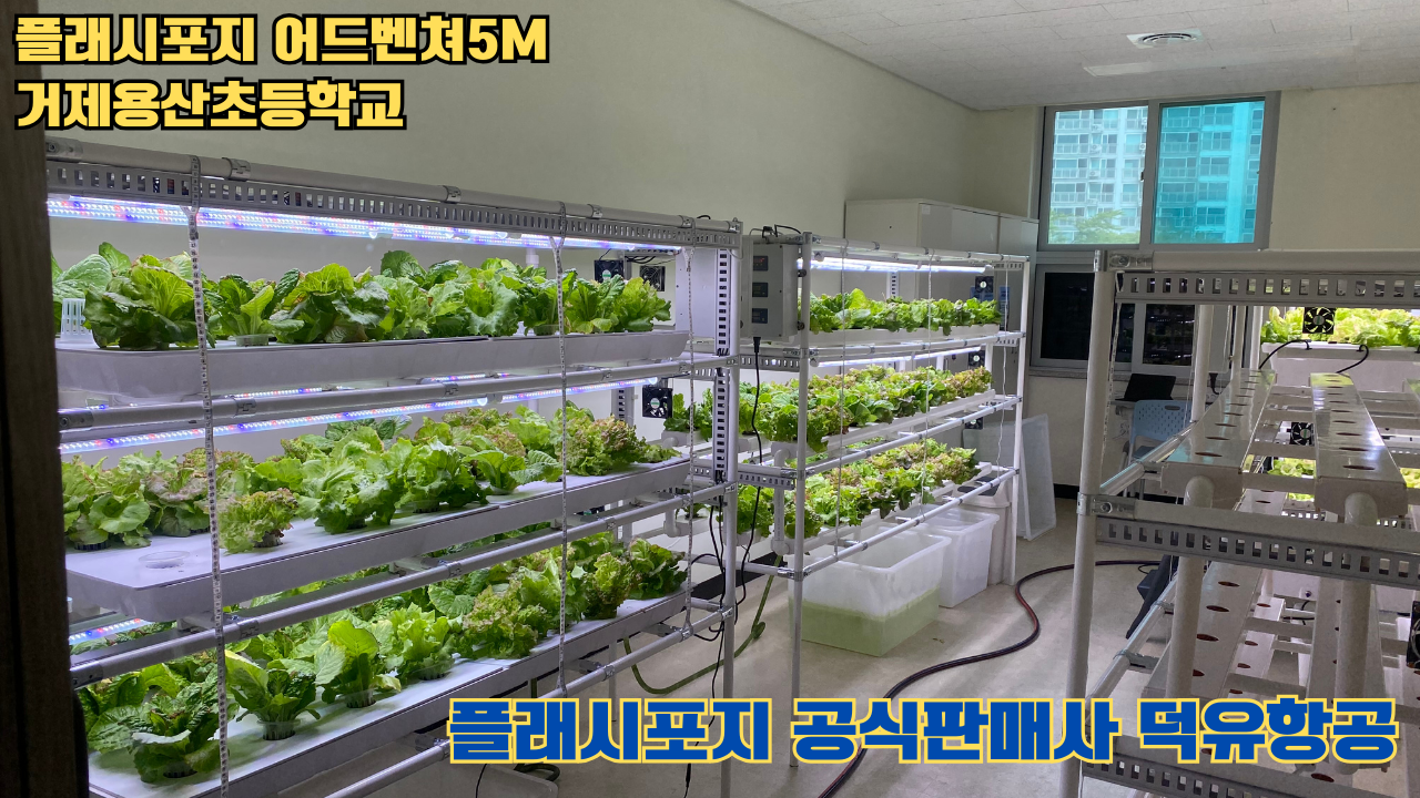 거제용산초등학교 플래시포지 어드벤쳐5M 설치 및 교육 2025 05 17 #플래시포지공식판매사 #덕유항공 #어드벤쳐5M #거제용산초등학교 거제용산초등학교 플래시포지 어드벤쳐5M 설치 및 교육 2025 05 17 #플래시포지공식판매사 #덕유항공 #어드벤쳐5M #거제용산초등학교