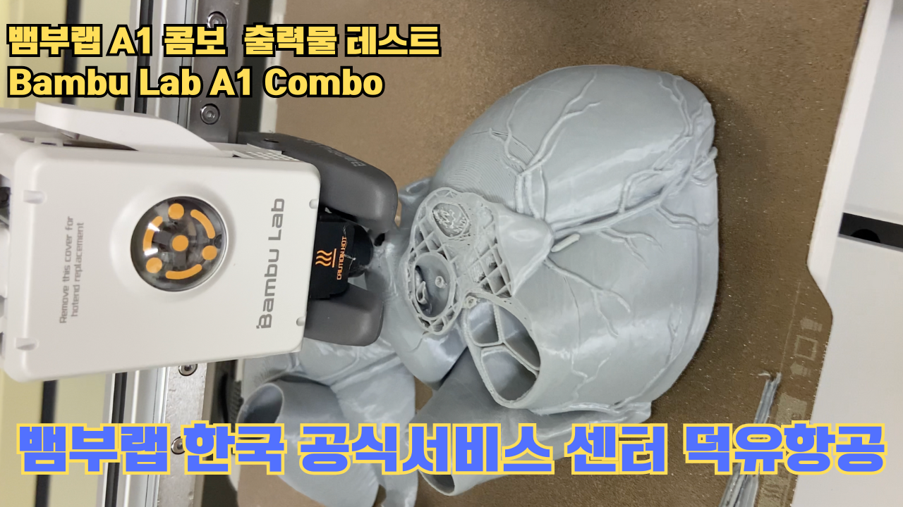 뱀부랩 A1 콤보 출력물 테스트 심장모형 #뱀부랩 #A1 #A1콤보 #A1combo #Bambulab #테스트출력물 #뱀부랩한국공식서비스센터덕유항공