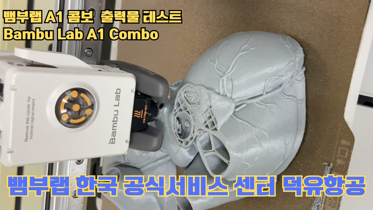 뱀부랩 A1 콤보 출력물 테스트 심장모형 #뱀부랩 #A1 #A1콤보 #A1combo #Bambulab #테스트출력물 #뱀부랩한국공식서비스센터덕유항공